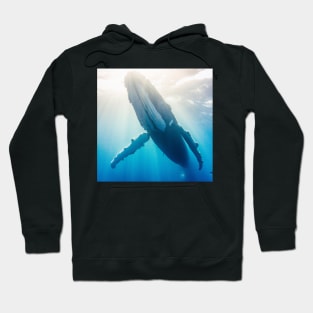 Whale in the sunlight Hoodie